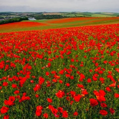 Meeting Demands (prod. by JP)