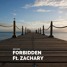 Forbidden - Niko Chris Ft. Zachary