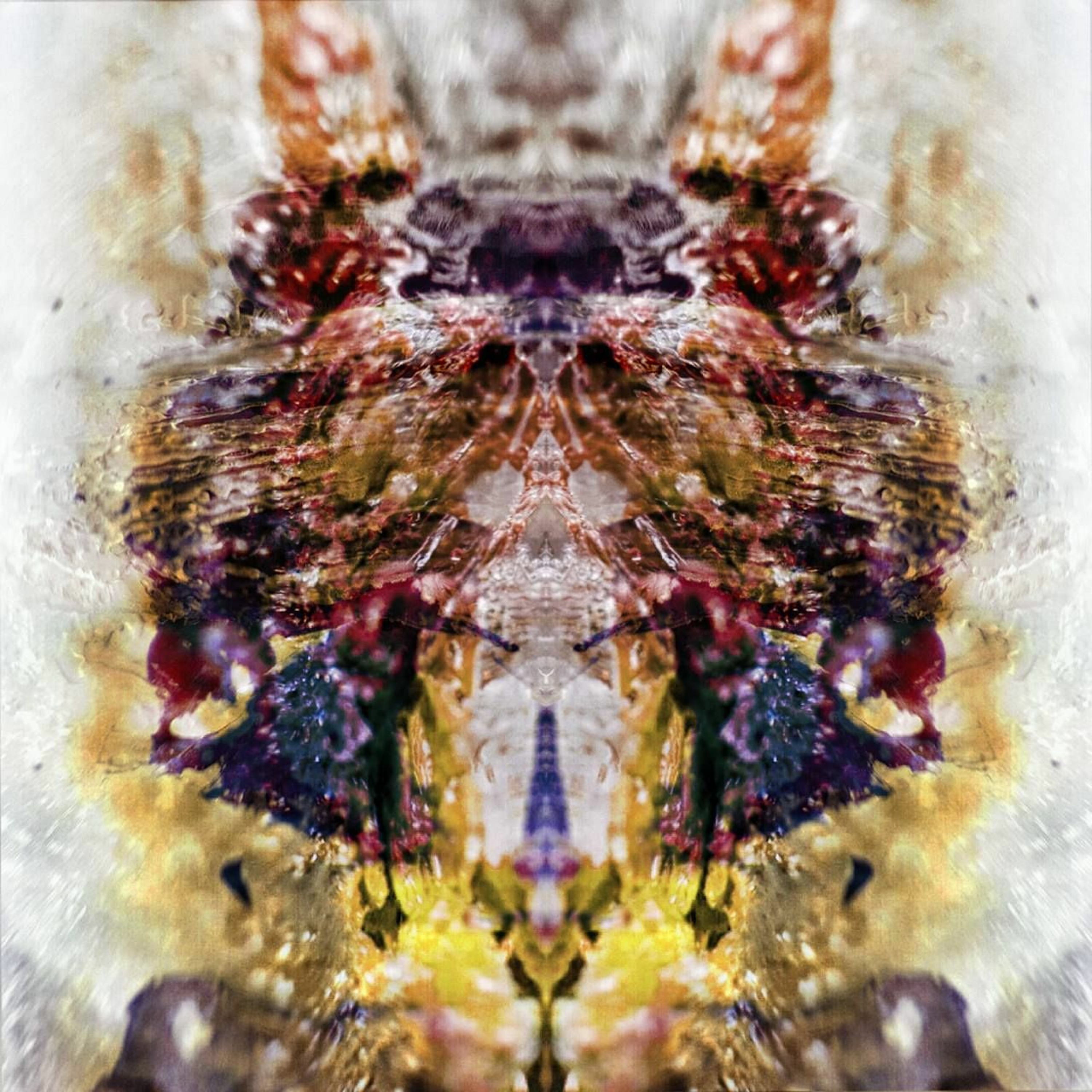Psylocida