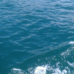 Fuga no. 1 - Amanda Gasparetto (2017)