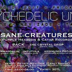 PACK - Psychedelic Unity - Insane Creatures (Live)