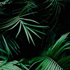 six senses in the jungle / wedding chappel opening set @ Project Heart (Tulum)