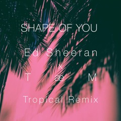 Shape Of You (Tropical Remix) - TBlue