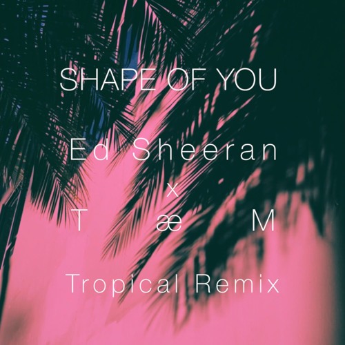 Shape Of You (Tropical Remix) - TBlue