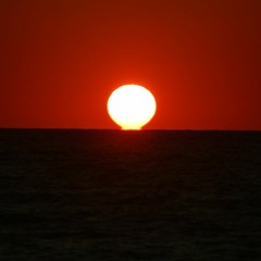 Shine