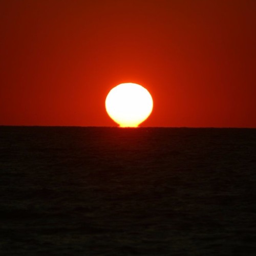 Shine