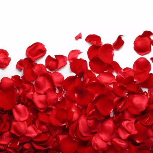 What It Smell Like (Roses)