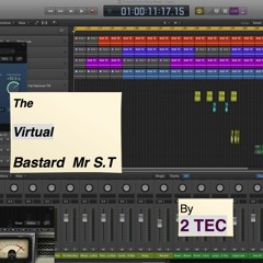 The Virtual Bastard  Mr S.T