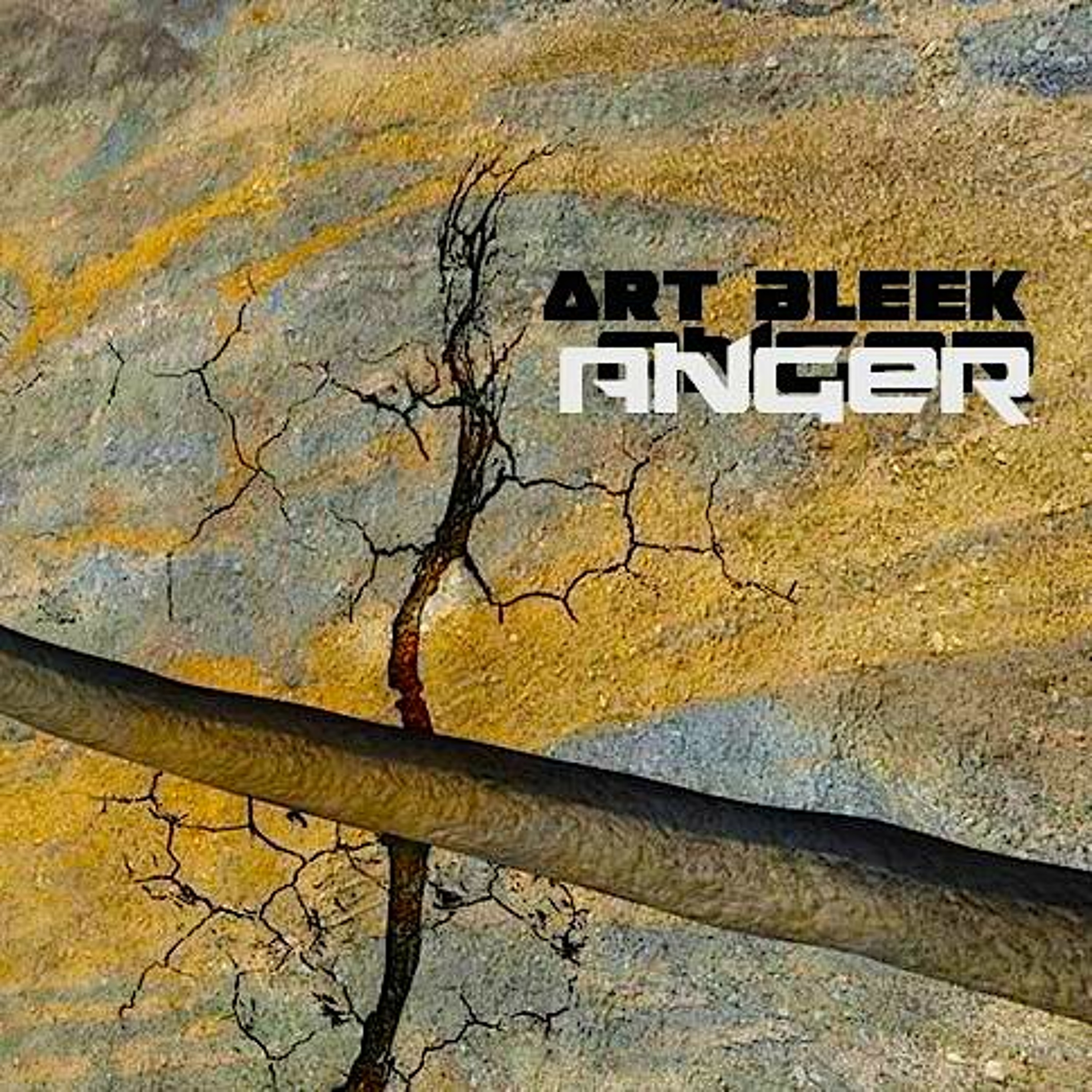 Art Bleek
