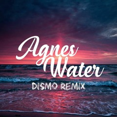 Jamie-Rose - Agnes Water (Dismo Remix)