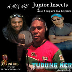 A mix NGI