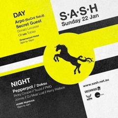 TEZZEL  @ S.A.S.H MAIN ROOM FEAT  DOKSU UPCLUB REC 22:1
