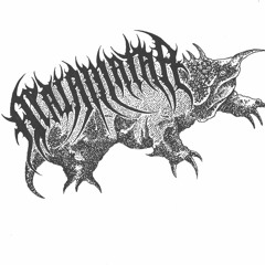 PRETTY BIRD (Stone Studio) MATAMATAA