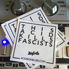 This Acid Kills Fascists