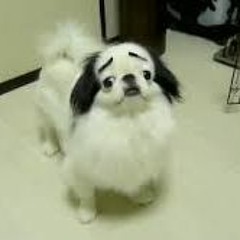 S H I M A - HIGH/BEACH