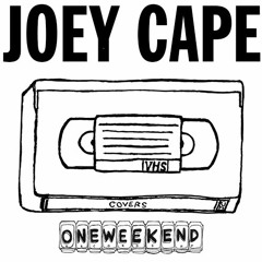 Joey Cape | Burden of Proof / Reign