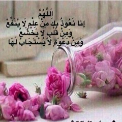 اسمعوا البدوية التي وصفت النبي صلى الله عليه وسلم في آخر المقطع الصوتي. شئ تقشعر له الأبدان