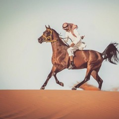 شيله | عيال وايل