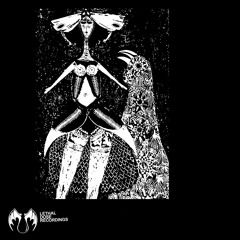 LDR 213 Diego Olarte - Poupee (Original Mix) preview