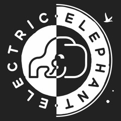The Revenge @ Electric Elephant 2016
