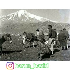 Homer dizey & Hani Mojtahedi - Chandy Garam