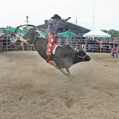 Sones Con Banda 2017