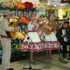 Ay mi palomo Ingrato- Conjunto Lafquen de Valparaíso