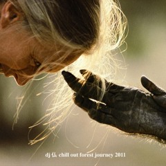 chill out forest journey ::: oct.2011 @ Liquid Insect open air