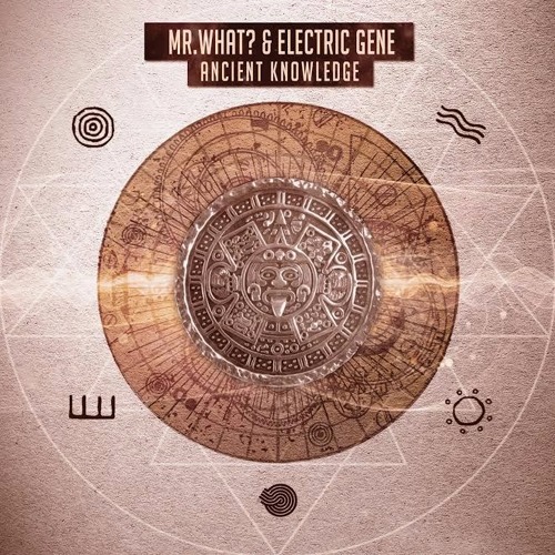 Mr.What? - TribaLingua (Electric Gene Remix) IBOGA Records