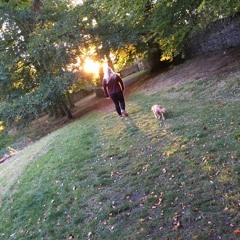 Skinny Jeans and Converse Shoes (2014)