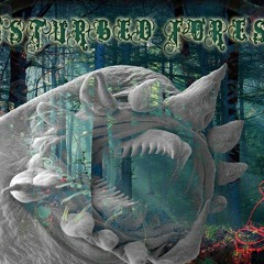 Darknesss - Obscure Presence (163) V.A Disturbed Forest (HippyFlip Records)