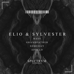 Elio & Sylvester, Aaron Sina - Someday (Original Mix)