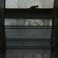 Looking Glass - Jacob James Wilton