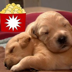 Snacks & Snuggles