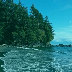 Beached (Prod. GHOST)