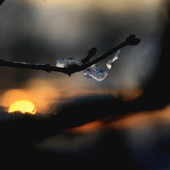 Audiorität - Deep Afterhour Nr. 261