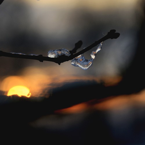 Audiorität - Deep Afterhour Nr. 261