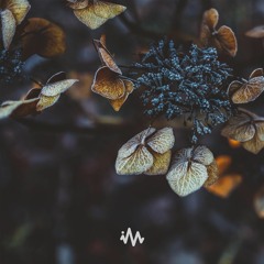 Empyrean - I'll Wait For You On The Other Side