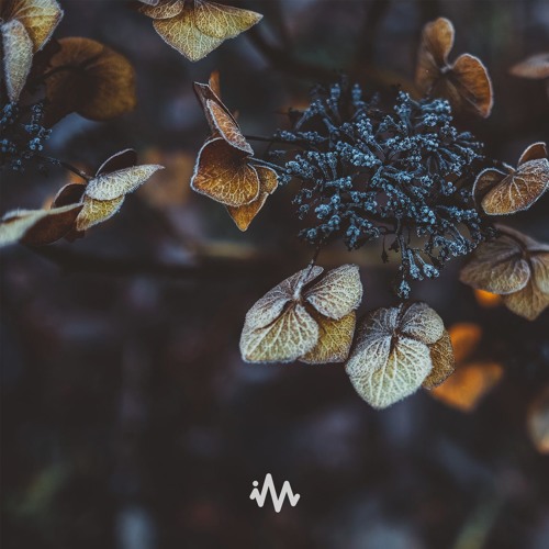 Empyrean - I'll Wait For You On The Other Side