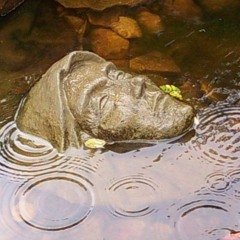 Intelligent Sleepnet