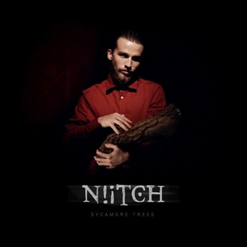 Twin Peaks - Sycamore Trees (cover by Niitch)