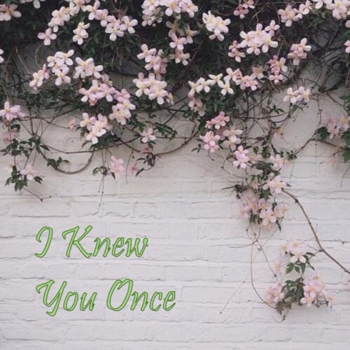 I Knew You Once - Dodie Clark (doddleoddle) Original Song