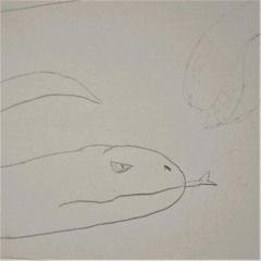 Käärmeen lupaus, Auringon kukko