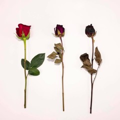 "Betrayer of Life (feat. Paul Cordebard of Chunk! No, Captain Chunk!)"