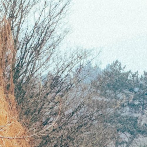 maybe I should listen to thissss