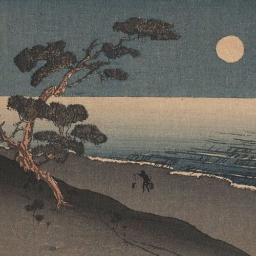 the cat and la lune