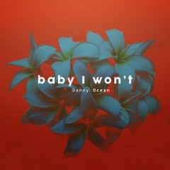 Baby I Won't - Danny Ocean (SeckoM Remix)