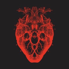 Waka (Original Mix)