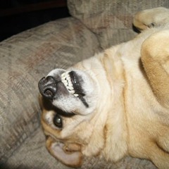 Vintage Lawj old bullshit track - Speakin of the Devil