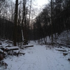 BINAURAL WALK / SNOW FOOTSTEPS / RIVER / WOODEN BRIDGE PASS